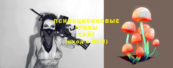МДПВ Нязепетровск