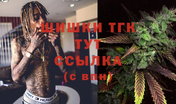 тгк Семилуки