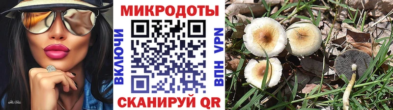 MEGA ONION  дарнет шоп  Разумное  Псилоцибиновые грибы прущие грибы 